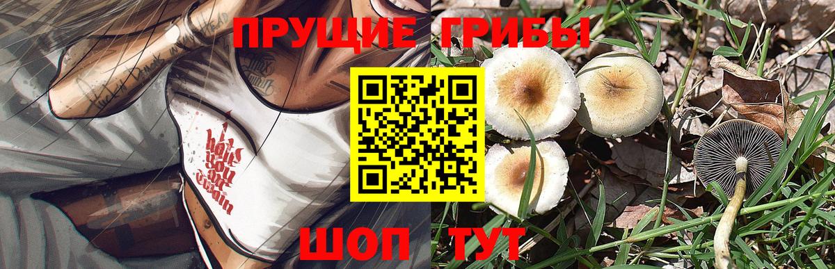 Псилоцибиновые грибы Psilocybe Мирный
